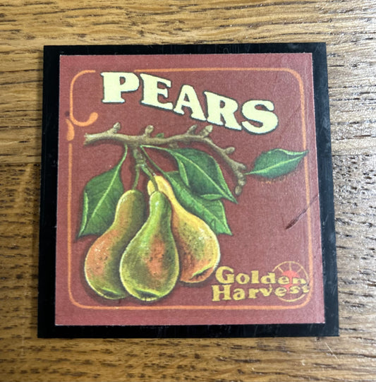 PEARS GOLDEN HARVEST Magnet by Gallery Concepts of Maine