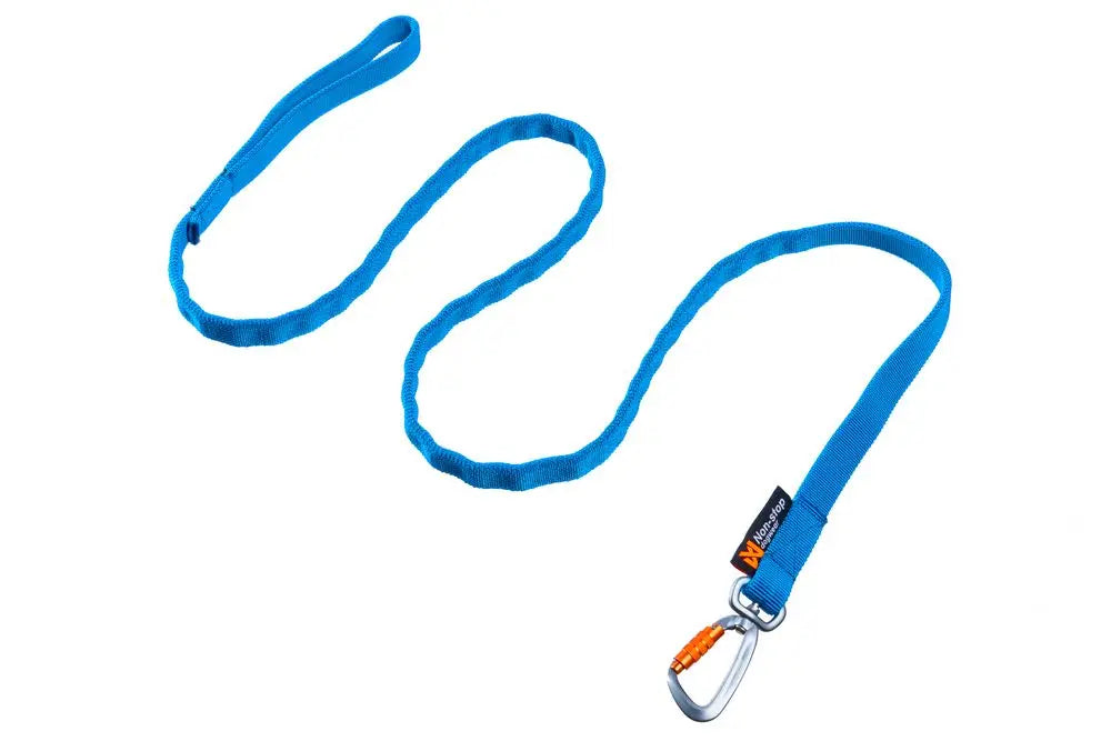 Bungee Leash for most Dog Assisted Activities