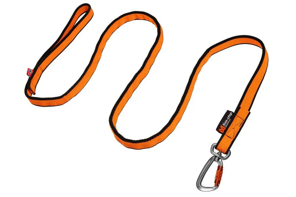 Bungee Leash for most Dog Assisted Activities