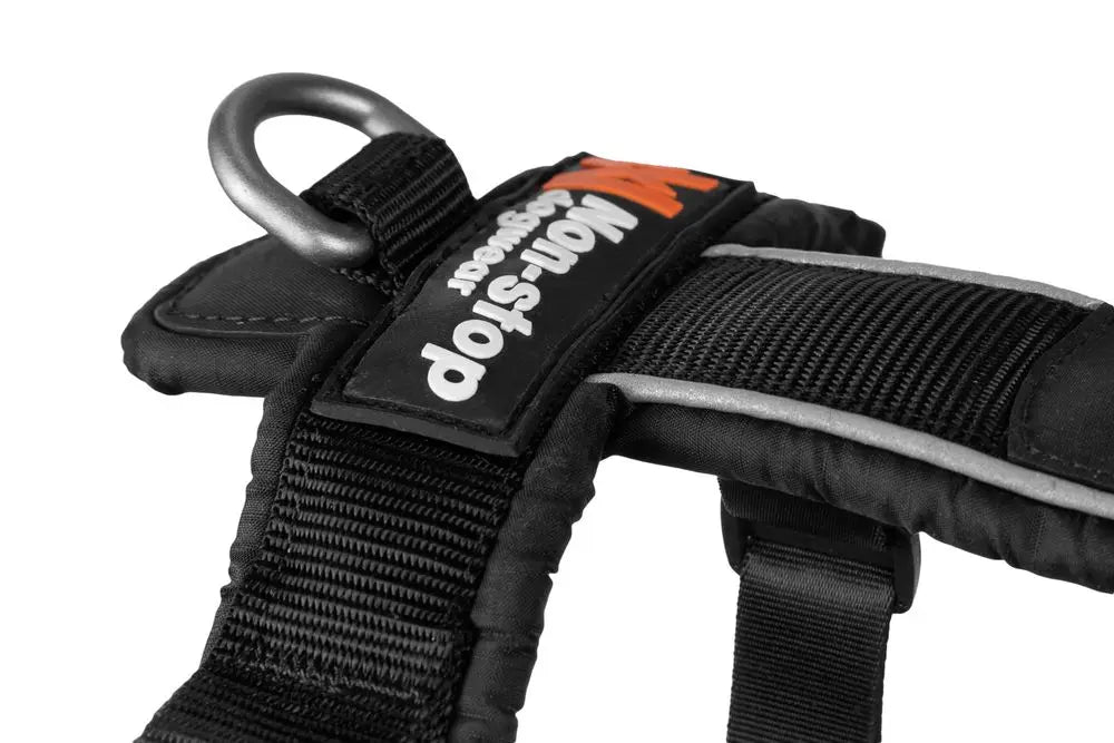 Line Harness 5.0 for Dog Walking and Hiking