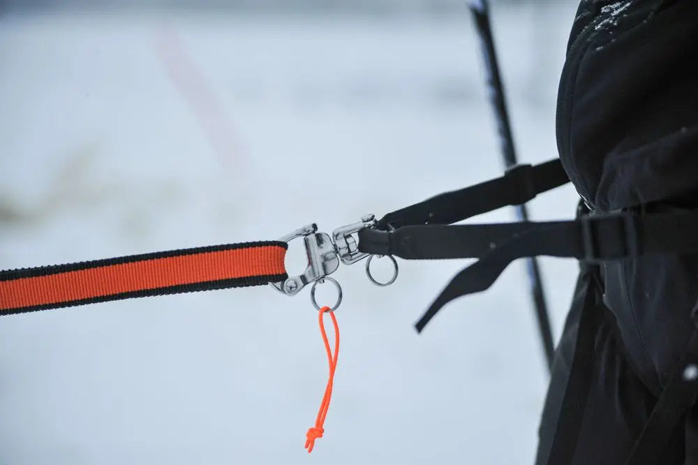 Loype Belt Pro for Skijoring and Trekking