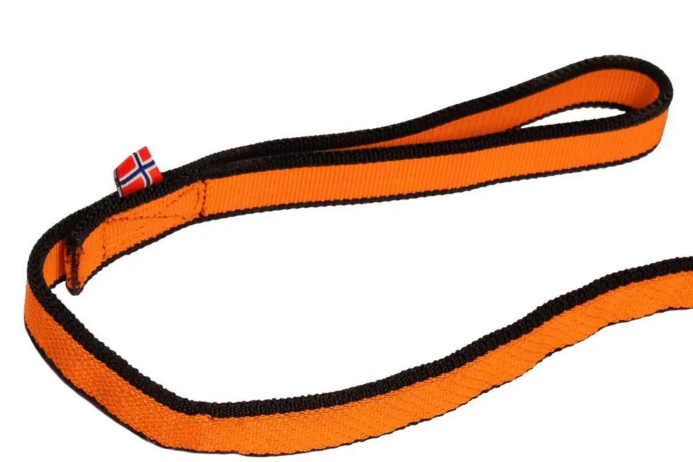 Bungee Leash for most Dog Assisted Activities